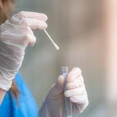 covid_research1